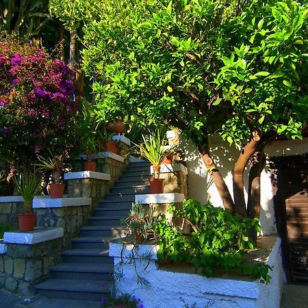 Hotel Terme Castaldi Forio di Ischia エクステリア 写真